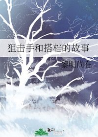 狙击手和搭档的故事