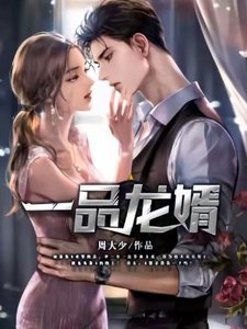 《一品龍婿》