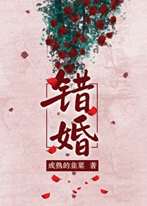 《错婚》